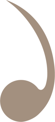 Phace brandmark